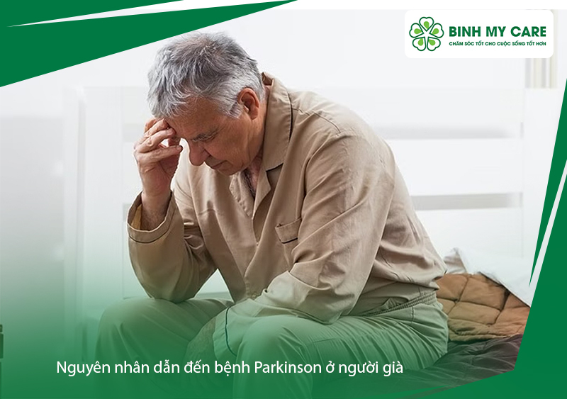 cham-soc-nguoi-cao-tuoi-bi-parkinson-4