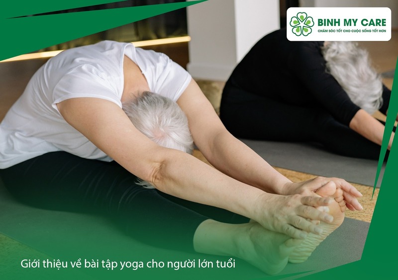 yoga-cho-nguoi-lon-tuoi-1